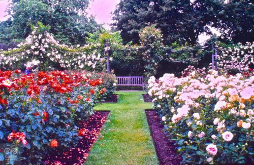 Landscape - Photo 17 - Pass Art Gallery