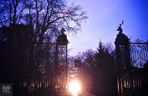 Landscape - Photo 20 - Pass Art Gallery