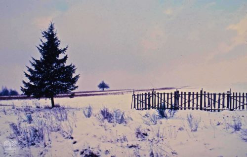 Landscape - Photo 31 - Pass Art Gallery