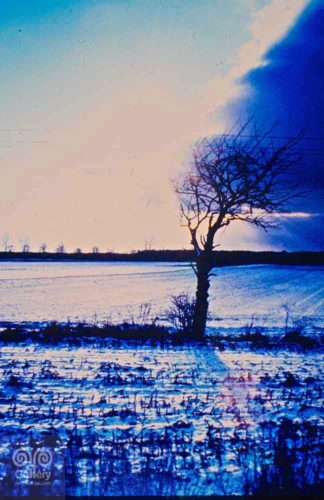 Landscape - Photo 34 - Pass Art Gallery