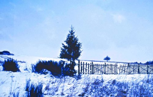 Landscape - Photo 36 - Pass Art Gallery