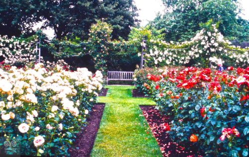 Landscape - Photo 39 - Pass Art Gallery