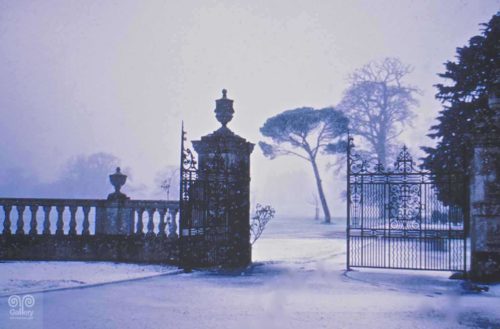 Landscape - Photo 41 - Pass Art Gallery