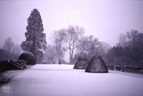 Winter - Photo - 05 - PassArtGallery