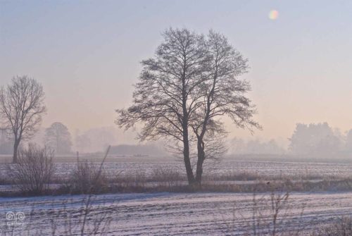 Winter - Photo - 07 - PassArtGallery
