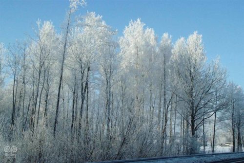 Winter - Photo - 10 - PassArtGallery