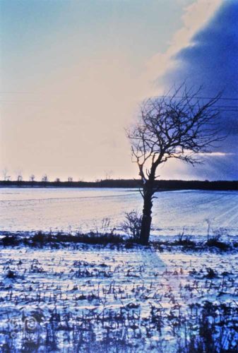 Winter - Photo - 29 - PassArtGallery