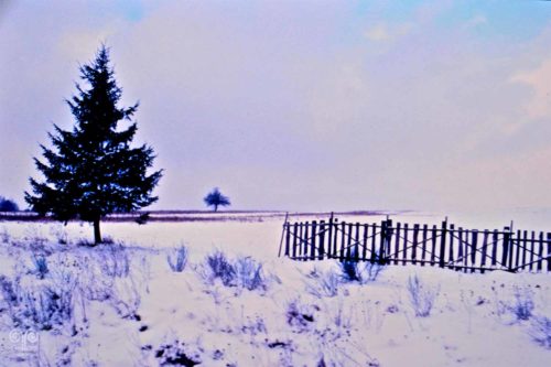 Winter - Photo - 30 - PassArtGallery