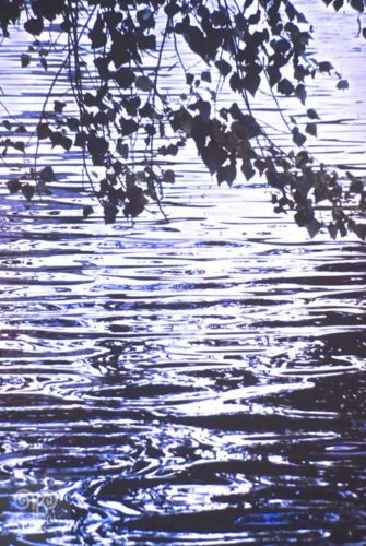 Water - Photo 15 - Pass Art Gallery