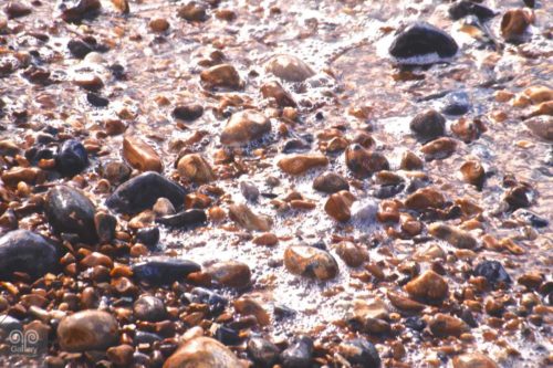 Water - Photo 22 - Pass Art Gallery