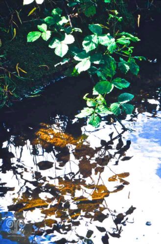 Water - Photo 33 - Pass Art Gallery