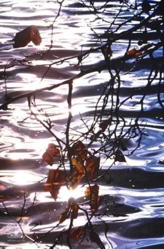 Water - Photo 37 - Pass Art Gallery