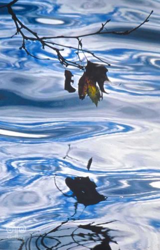 Water - Photo 38 - Pass Art Gallery
