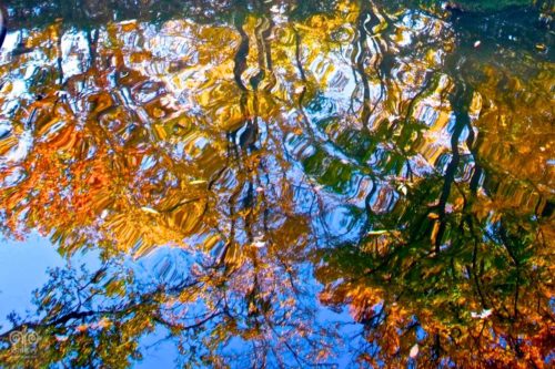 Water - Photo 43 - Pass Art Gallery